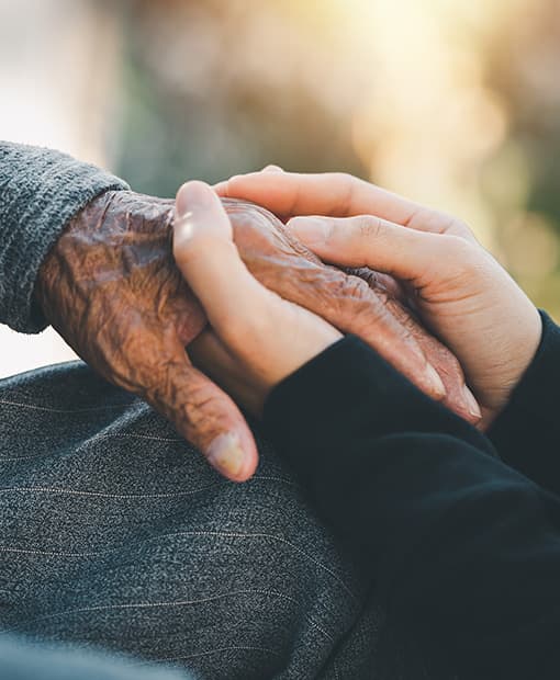 Close up view of young hands holding the hands of an older person