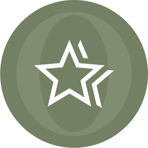 Star icon